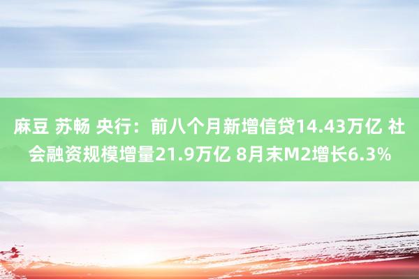 麻豆 苏畅 央行：前八个月新增信贷14.43万亿 社会融资规模增量21.9万亿 8月末M2增长6.3%