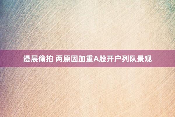 漫展偷拍 两原因加重A股开户列队景观