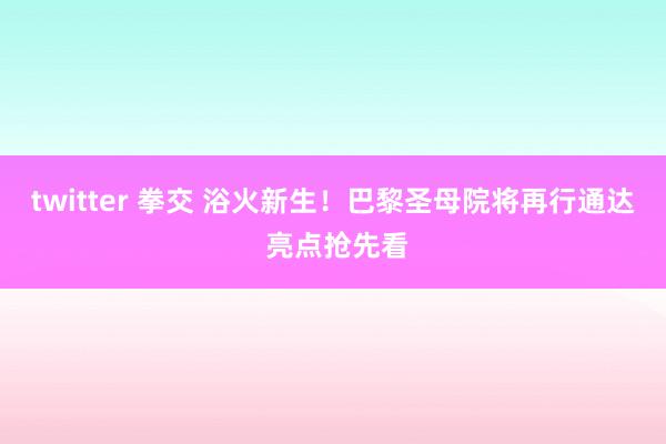 twitter 拳交 浴火新生！巴黎圣母院将再行通达 亮点抢先看