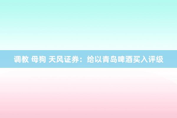 调教 母狗 天风证券：给以青岛啤酒买入评级