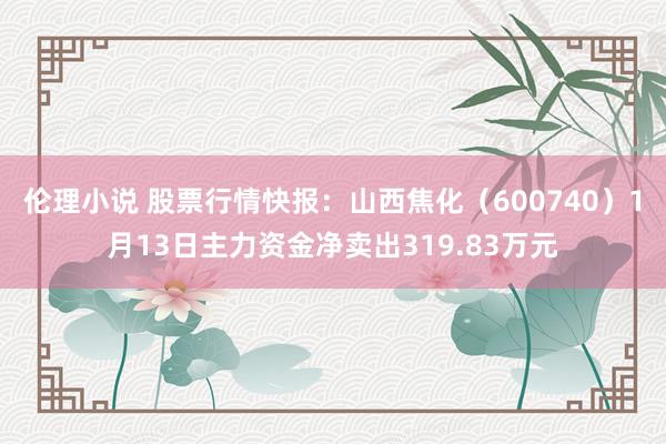 伦理小说 股票行情快报：山西焦化（600740）1月13日主力资金净卖出319.83万元
