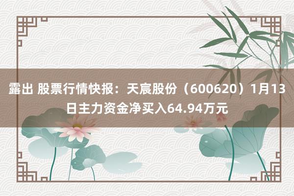 露出 股票行情快报：天宸股份（600620）1月13日主力资金净买入64.94万元