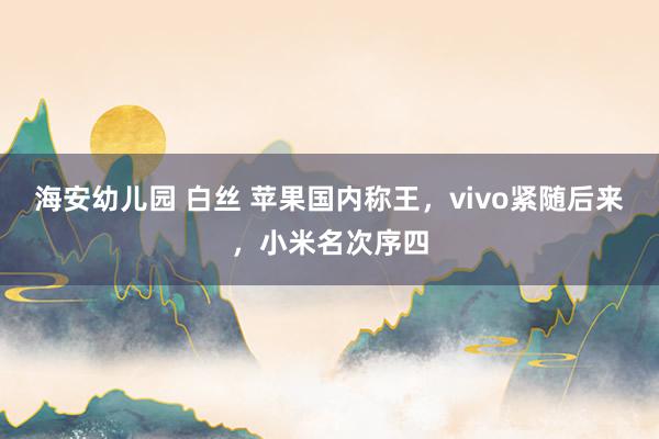 海安幼儿园 白丝 苹果国内称王，vivo紧随后来，小米名次序四