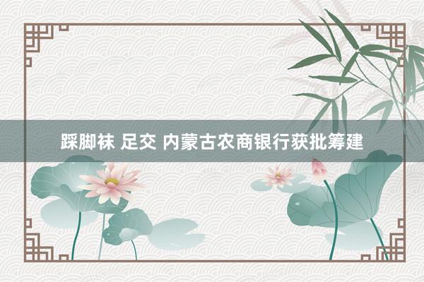 踩脚袜 足交 内蒙古农商银行获批筹建
