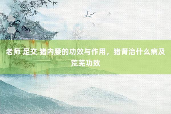 老师 足交 猪内腰的功效与作用，猪肾治什么病及荒芜功效