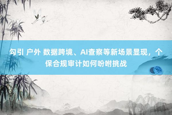 勾引 户外 数据跨境、AI查察等新场景显现，个保合规审计如何吩咐挑战