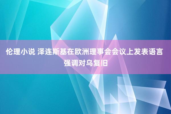 伦理小说 泽连斯基在欧洲理事会会议上发表语言 强调对乌复旧