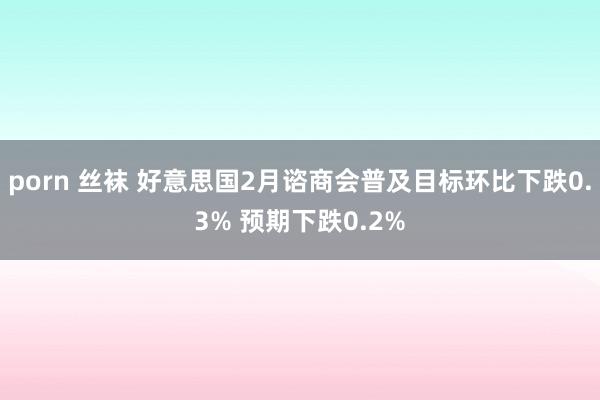 porn 丝袜 好意思国2月谘商会普及目标环比下跌0.3% 预期下跌0.2%