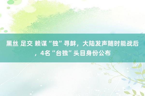 黑丝 足交 赖谋“独”寻衅，大陆发声随时能战后，4名“台独”头目身份公布