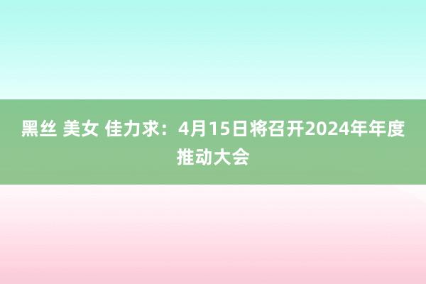 黑丝 美女 佳力求：4月15日将召开2024年年度推动大会