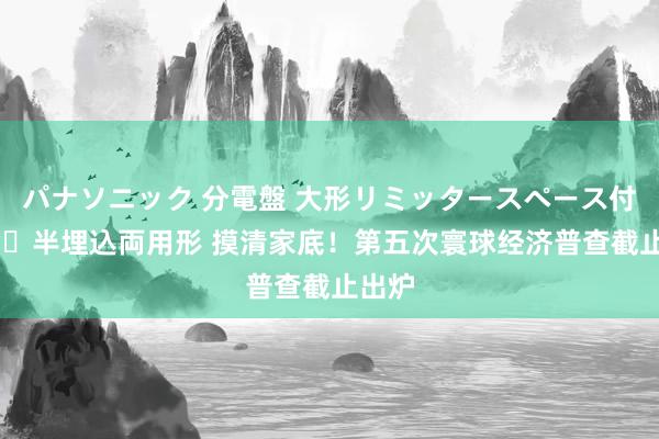 パナソニック 分電盤 大形リミッタースペース付 露出・半埋込両用形 摸清家底！第五次寰球经济普查截止出炉