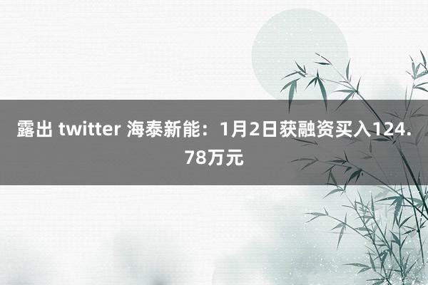 露出 twitter 海泰新能：1月2日获融资买入124.78万元