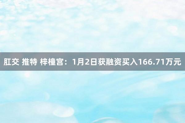 肛交 推特 梓橦宫：1月2日获融资买入166.71万元