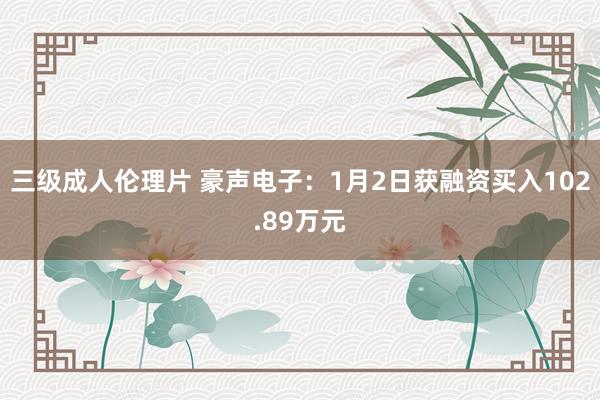 三级成人伦理片 豪声电子：1月2日获融资买入102.89万元