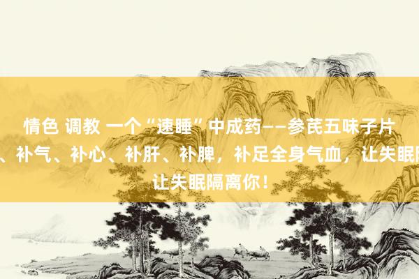 情色 调教 一个“速睡”中成药——参芪五味子片，补血、补气、补心、补肝、补脾，补足全身气血，让失眠隔离你！