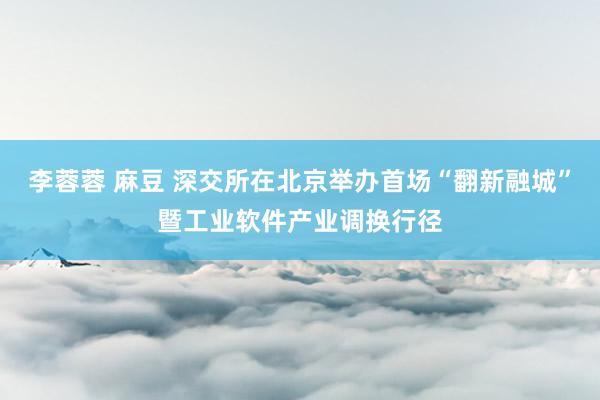 李蓉蓉 麻豆 深交所在北京举办首场“翻新融城”暨工业软件产业调换行径
