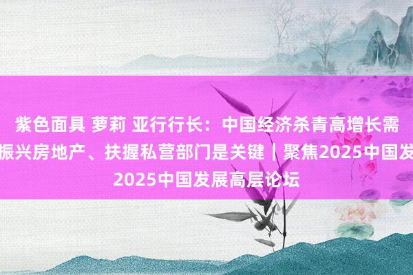 紫色面具 萝莉 亚行行长：中国经济杀青高增长需斗胆施策，振兴房地产、扶握私营部门是关键｜聚焦2025中国发展高层论坛