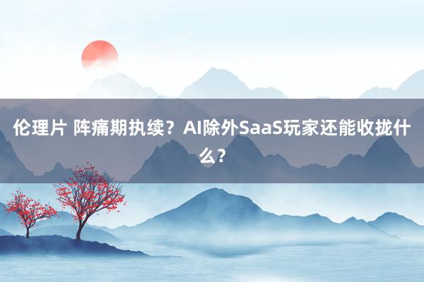 伦理片 阵痛期执续？AI除外SaaS玩家还能收拢什么？
