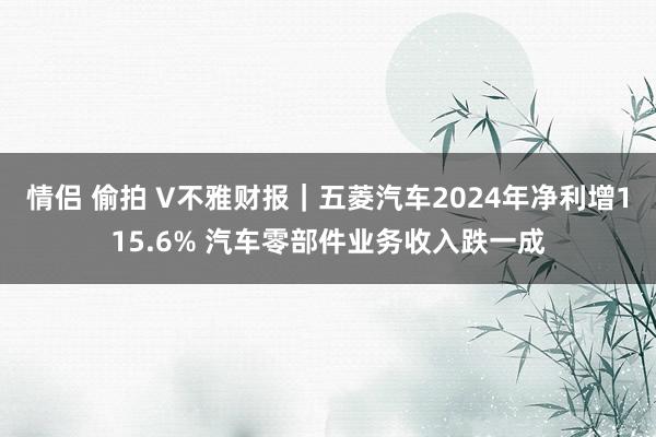 情侣 偷拍 V不雅财报｜五菱汽车2024年净利增115.6% 汽车零部件业务收入跌一成