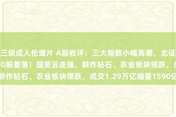 三级成人伦理片 A股收评：三大指数小幅高潮，北证50跌4.39%，超3900股着落！国资云走强，耕作钻石、农业板块领跌，成交1.29万亿缩量1590亿