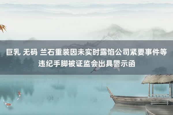 巨乳 无码 兰石重装因未实时露馅公司紧要事件等违纪手脚被证监会出具警示函