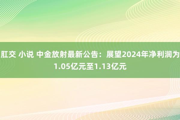 肛交 小说 中金放射最新公告：展望2024年净利润为1.05亿元至1.13亿元