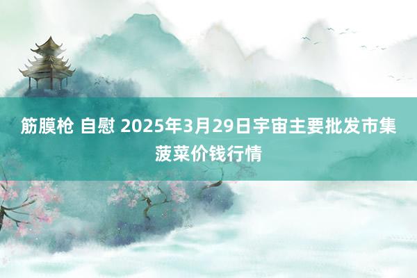 筋膜枪 自慰 2025年3月29日宇宙主要批发市集菠菜价钱行情