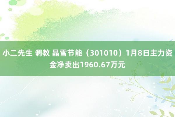 小二先生 调教 晶雪节能（301010）1月8日主力资金净卖出1960.67万元