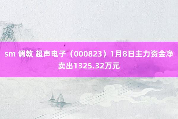 sm 调教 超声电子（000823）1月8日主力资金净卖出1325.32万元