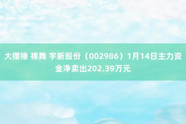 大摆锤 裸舞 宇新股份（002986）1月14日主力资金净卖出202.39万元