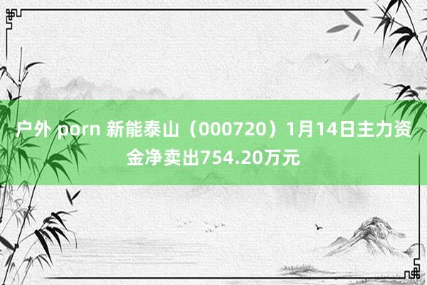 户外 porn 新能泰山（000720）1月14日主力资金净卖出754.20万元