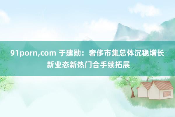 91porn，com 于建勋：奢侈市集总体沉稳增长 新业态新热门合手续拓展
