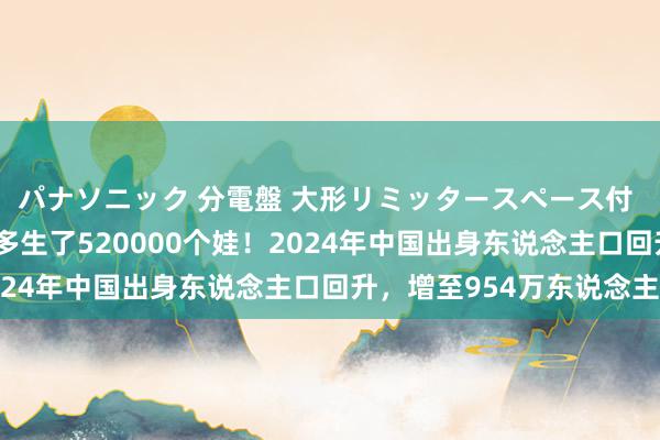 パナソニック 分電盤 大形リミッタースペース付 露出・半埋込両用形 多生了520000个娃！2024年中国出身东说念主口回升，增至954万东说念主