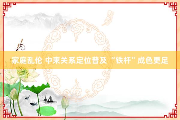 家庭乱伦 中柬关系定位普及 “铁杆”成色更足