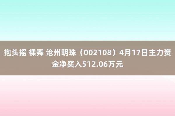 抱头摇 裸舞 沧州明珠（002108）4月17日主力资金净买入512.06万元