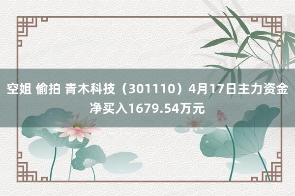 空姐 偷拍 青木科技（301110）4月17日主力资金净买入1679.54万元