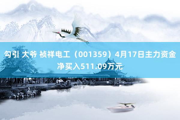 勾引 大爷 祯祥电工（001359）4月17日主力资金净买入511.09万元