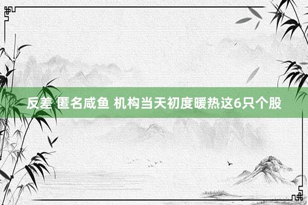 反差 匿名咸鱼 机构当天初度暖热这6只个股