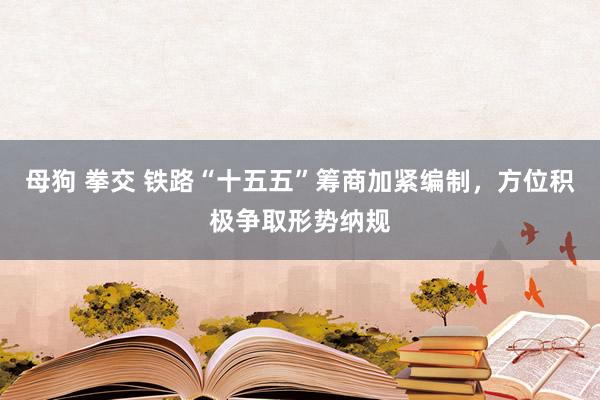 母狗 拳交 铁路“十五五”筹商加紧编制，方位积极争取形势纳规