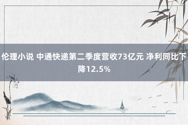伦理小说 中通快递第二季度营收73亿元 净利同比下降12.5%