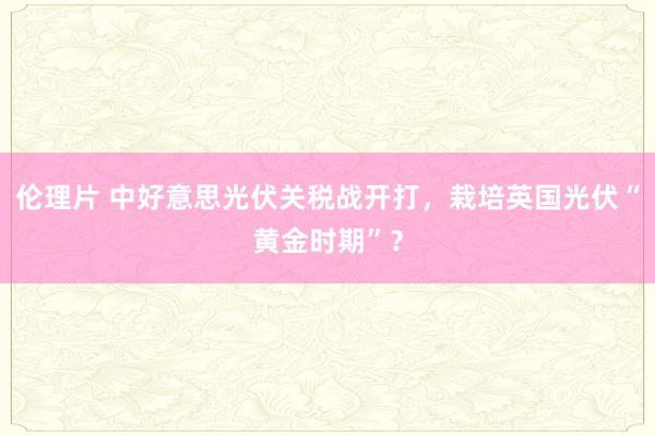 伦理片 中好意思光伏关税战开打，栽培英国光伏“黄金时期”？